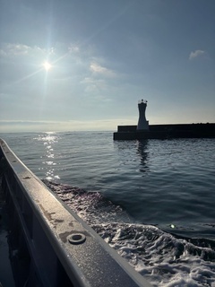 image4.jpeg