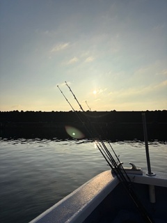 image6.jpeg